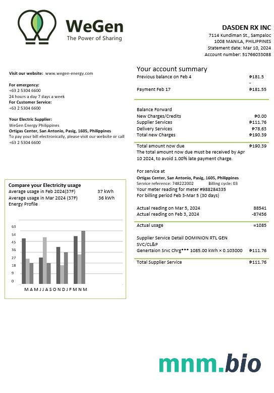 Filipiny WeGen Energy Filipiny szablon rachunku za media Biznesowe w formatach Word i PDF